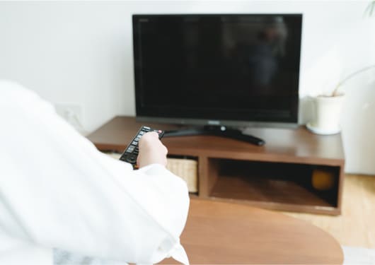 テレビ録画用ハードディスク